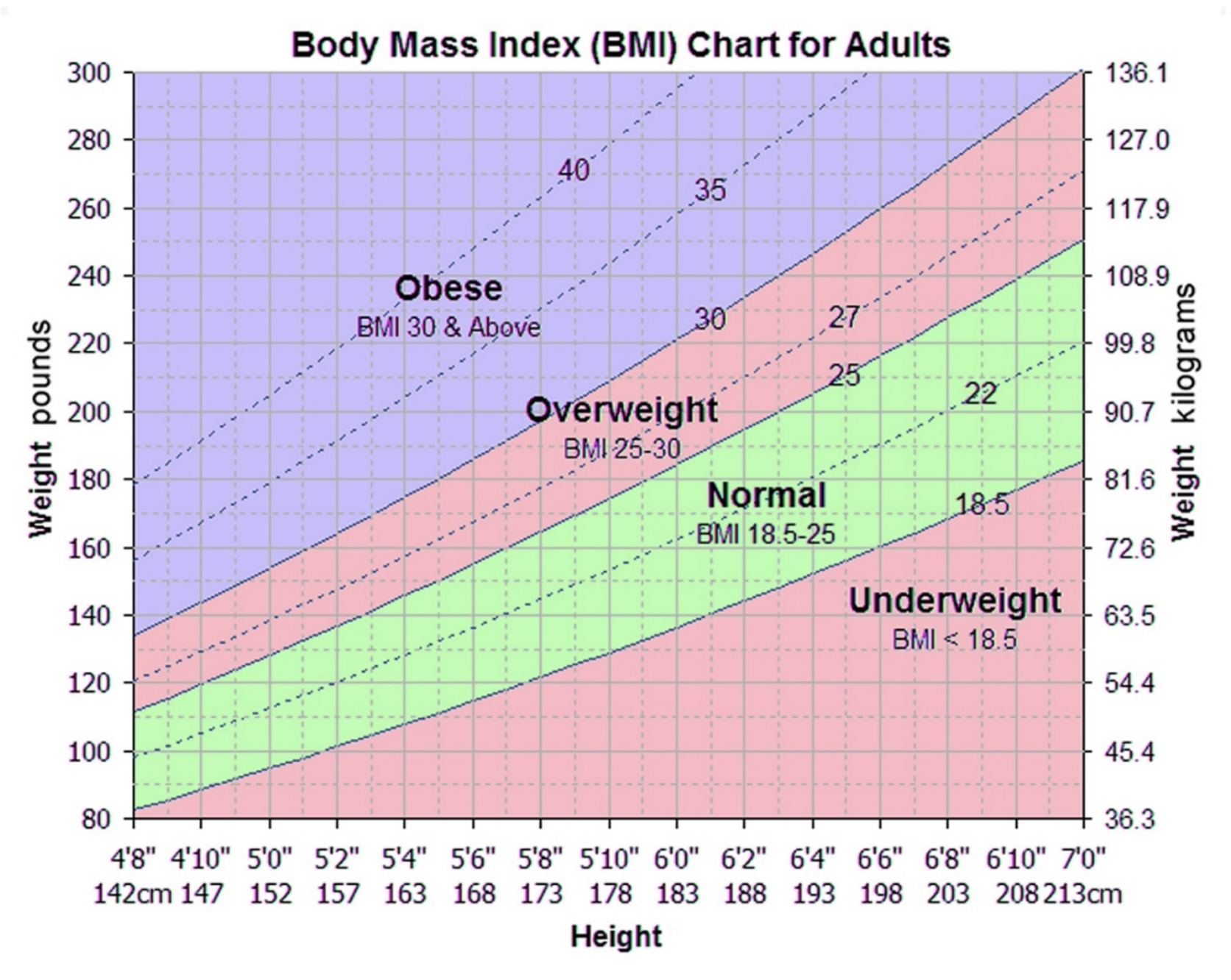 Body mass index chart for adults